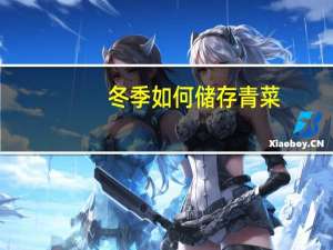 冬季如何储存青菜