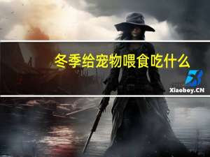 冬季给宠物喂食吃什么
