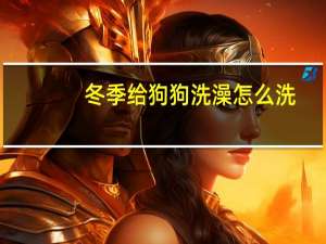 冬季给狗狗洗澡怎么洗