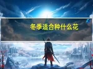 冬季适合种什么花