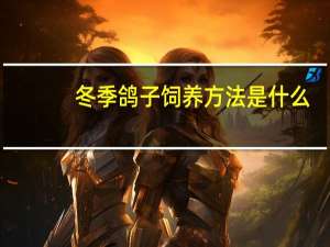 冬季鸽子饲养方法是什么