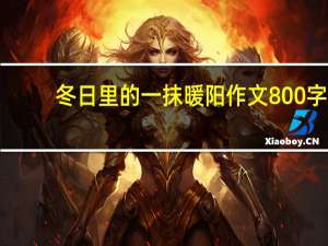 冬日里的一抹暖阳作文800字（冬日里的一抹暖阳600）