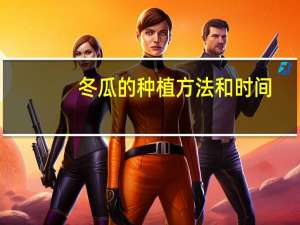 冬瓜的种植方法和时间（冬瓜的种植方法）