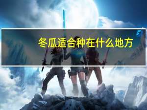 冬瓜适合种在什么地方