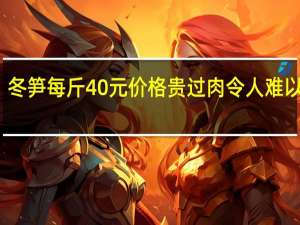 冬笋每斤40元价格贵过肉 令人难以置信