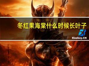 冬红果海棠什么时候长叶子