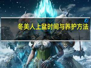 冬美人上盆时间与养护方法