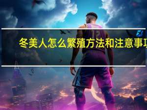 冬美人怎么繁殖方法和注意事项