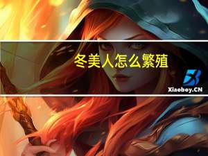 冬美人怎么繁殖
