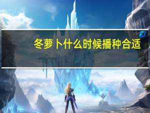 冬萝卜什么时候播种合适
