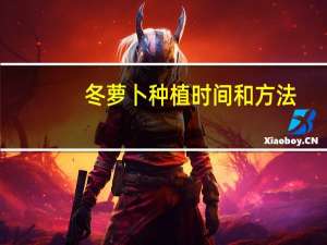 冬萝卜种植时间和方法