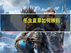 冬虫夏草如何辨别.