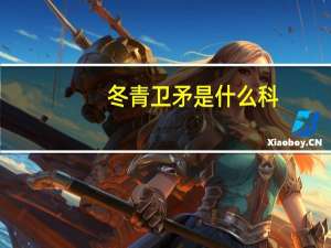 冬青卫矛是什么科