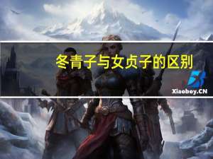 冬青子与女贞子的区别