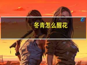 冬青怎么醒花