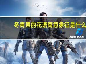 冬青果的花语寓意象征是什么