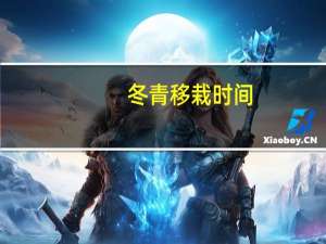 冬青移栽时间