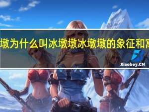 冰墩墩为什么叫冰墩墩 冰墩墩的象征和寓意是什么
