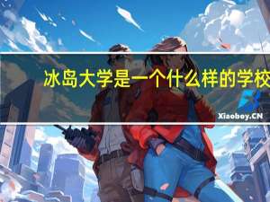 冰岛大学是一个什么样的学校