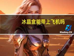 冰晶盒能带上飞机吗（冰晶盒）