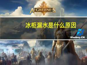 冰柜漏水是什么原因