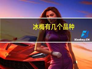 冰梅有几个品种
