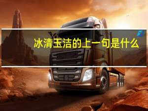 冰清玉洁的上一句是什么