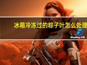 冰箱冷冻过的粽子叶怎么处理