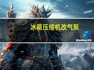 冰箱压缩机改气泵（冰箱压缩机）
