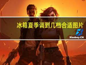 冰箱夏季调到几档合适图片（冰箱夏季调到几档合适）