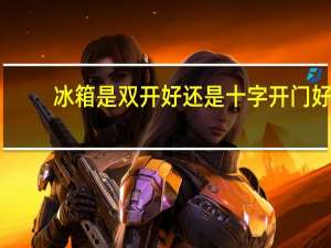 冰箱是双开好还是十字开门好