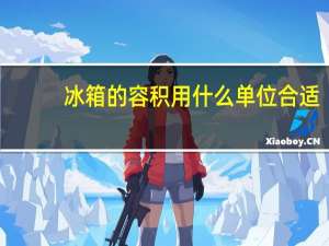 冰箱的容积用什么单位合适