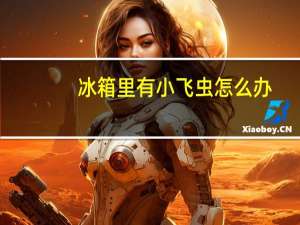 冰箱里有小飞虫怎么办