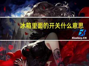 冰箱里面的开关什么意思