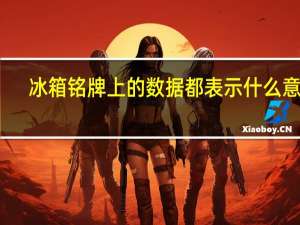 冰箱铭牌上的数据都表示什么意思