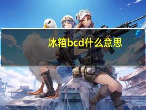 冰箱bcd什么意思