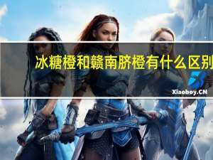 冰糖橙和赣南脐橙有什么区别