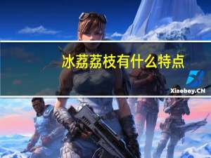 冰荔荔枝有什么特点