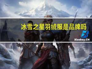 冰雪之星羽绒服是品牌吗