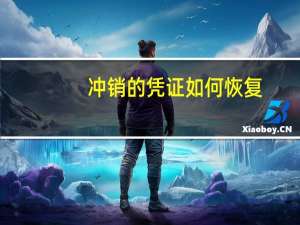 冲销的凭证如何恢复