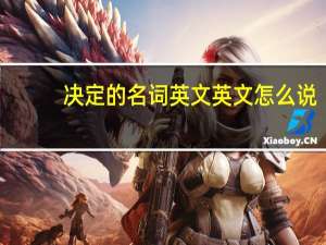 决定的名词英文 英文怎么说