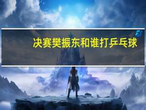 决赛樊振东和谁打乒乓球