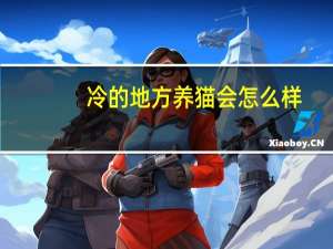 冷的地方养猫会怎么样
