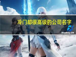 冷门却很高级的公司名字