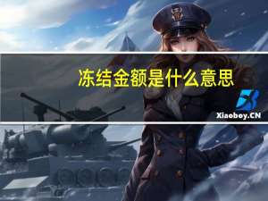 冻结金额是什么意思