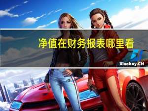 净值在财务报表哪里看