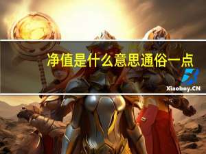 净值是什么意思通俗一点