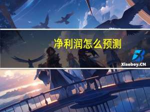 净利润怎么预测