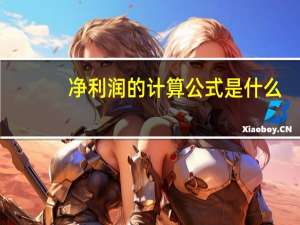 净利润的计算公式是什么？