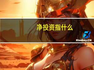 净投资指什么